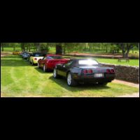 Lineup at Youngs Winery.jpg